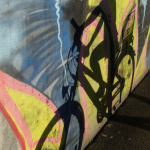 A mysterious biker