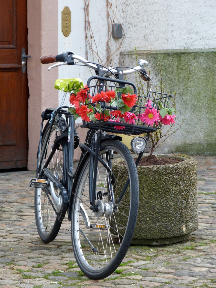 Spring in the city