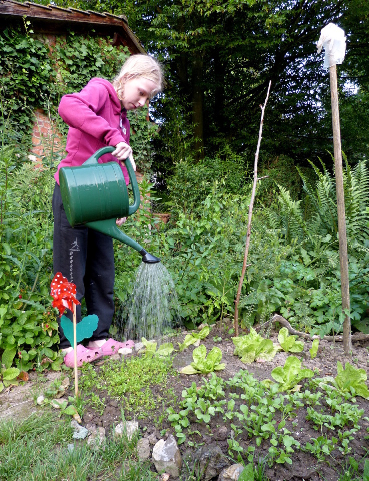 Watering the garden