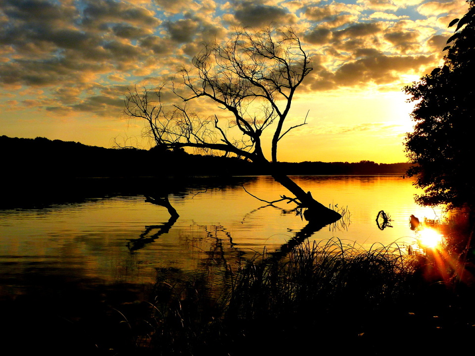 Rusalka lake in Poznan