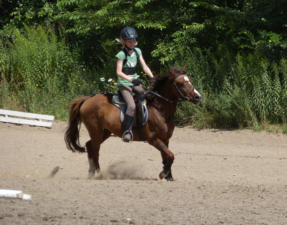 At a riding camp