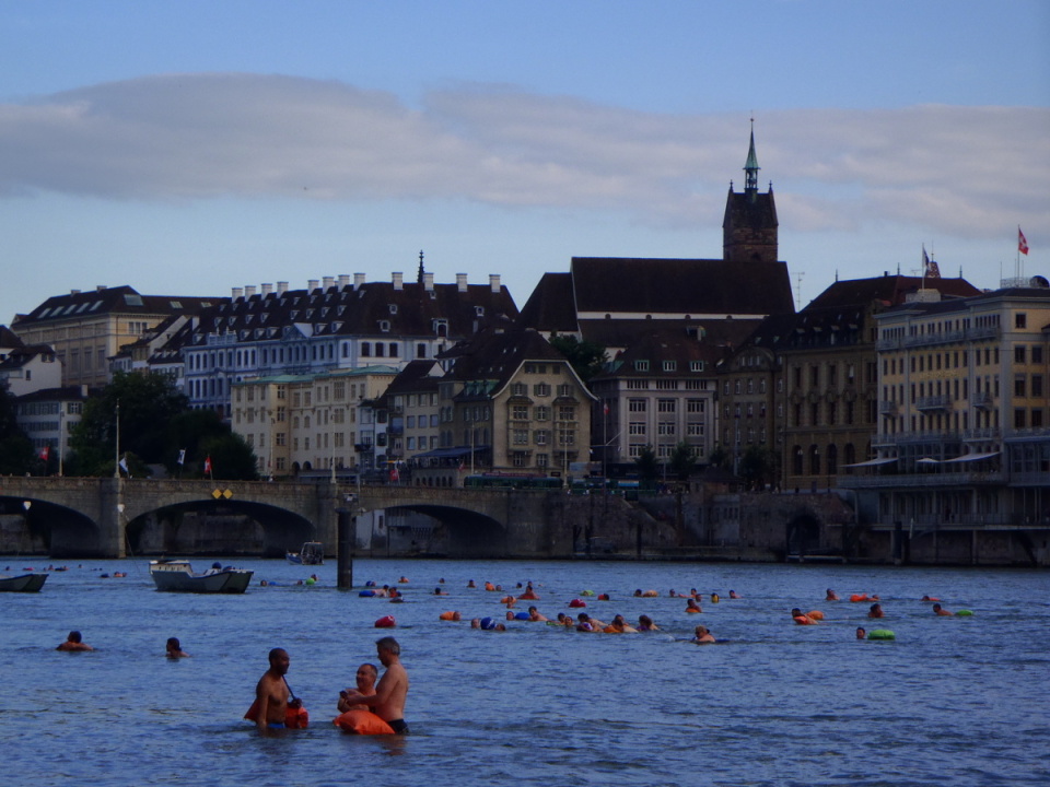 Basel Rhine Swim 2013