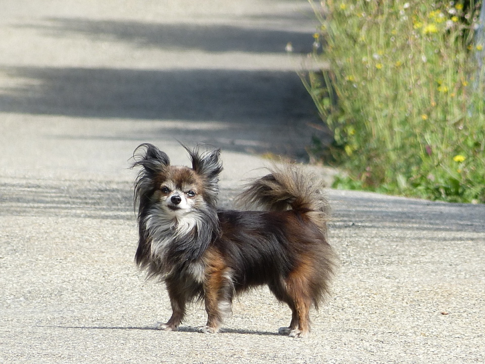 Perfect weather for a Sunday walk.