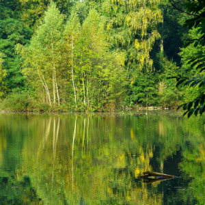 Another lovely day