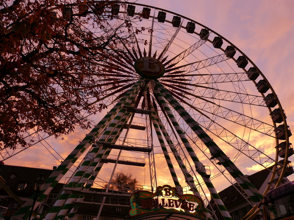 Countdown to the Autumn Fair