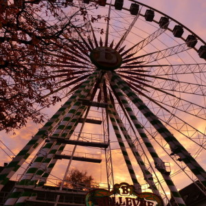 Countdown to the Autumn Fair
