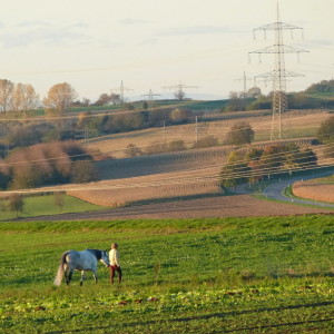 An afternoon in the country