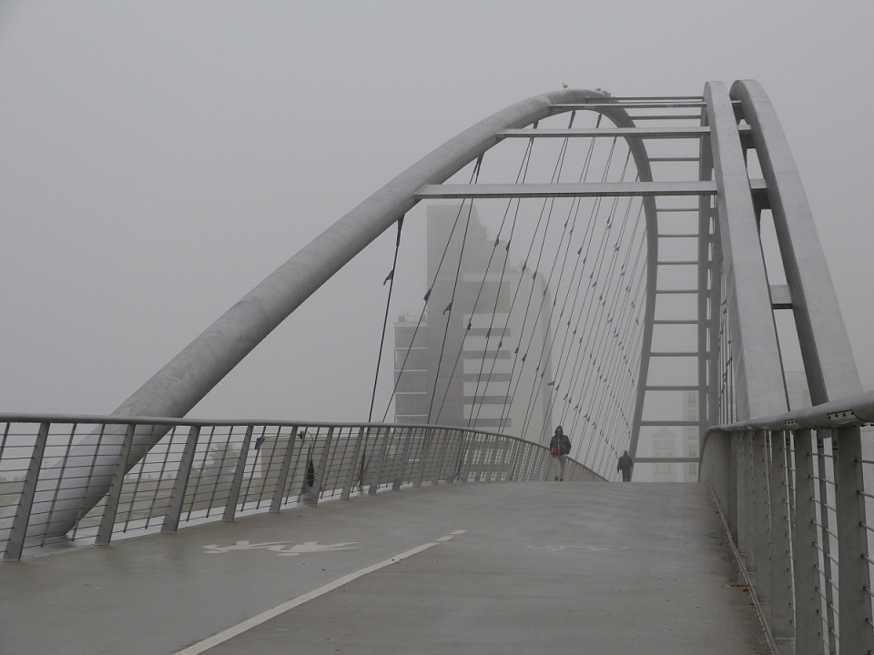 A grey day