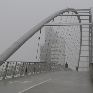 A grey day