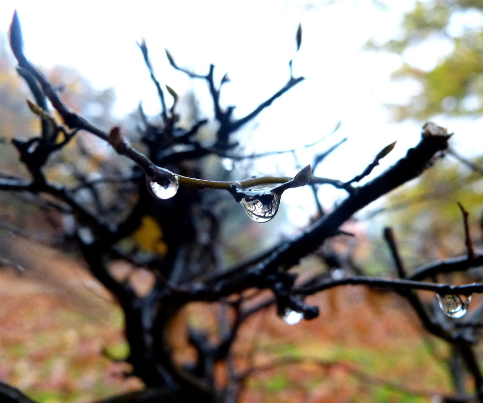 Wet and cold