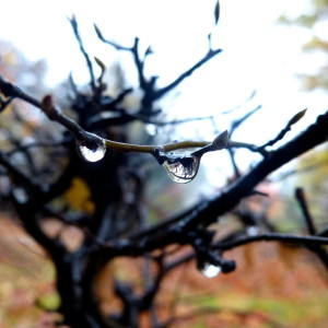 Wet and cold