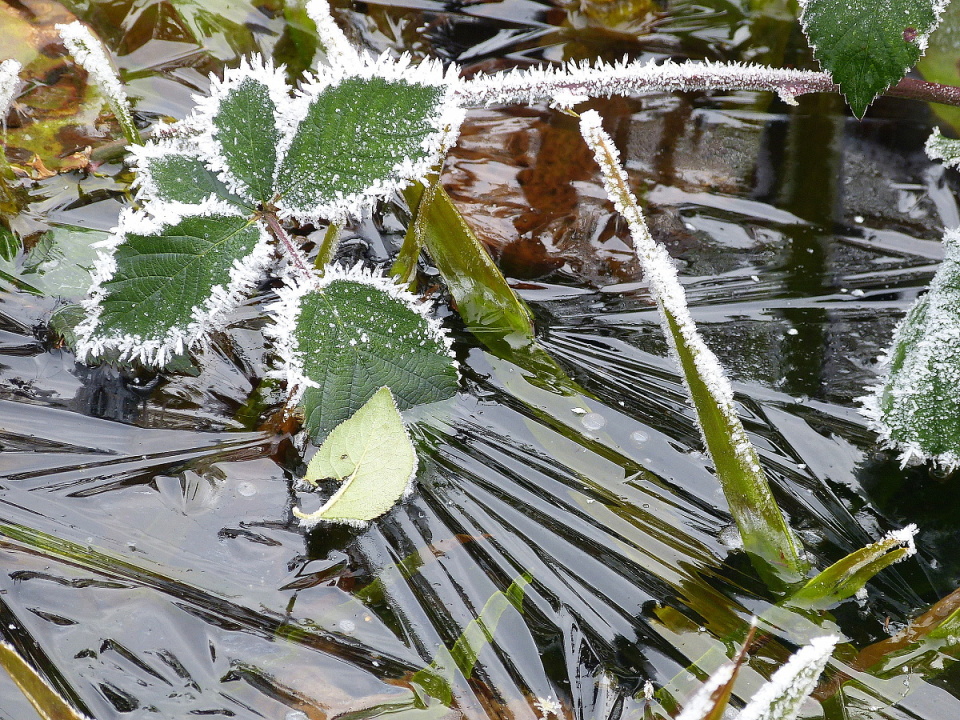 Icebound