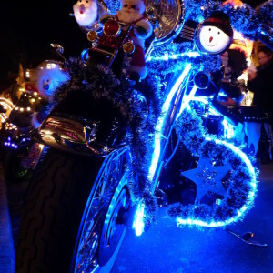 Harley Niggi Naggi