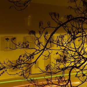 A foggy night
