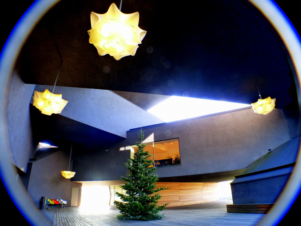 Xmas tree at Vitra house