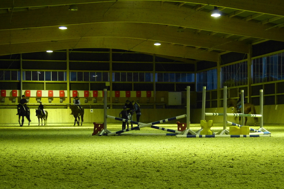 Weekly riding lesson