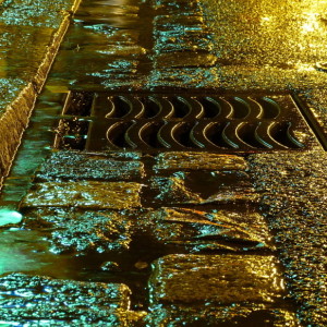 A wet street