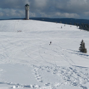 Cross country skiing again.