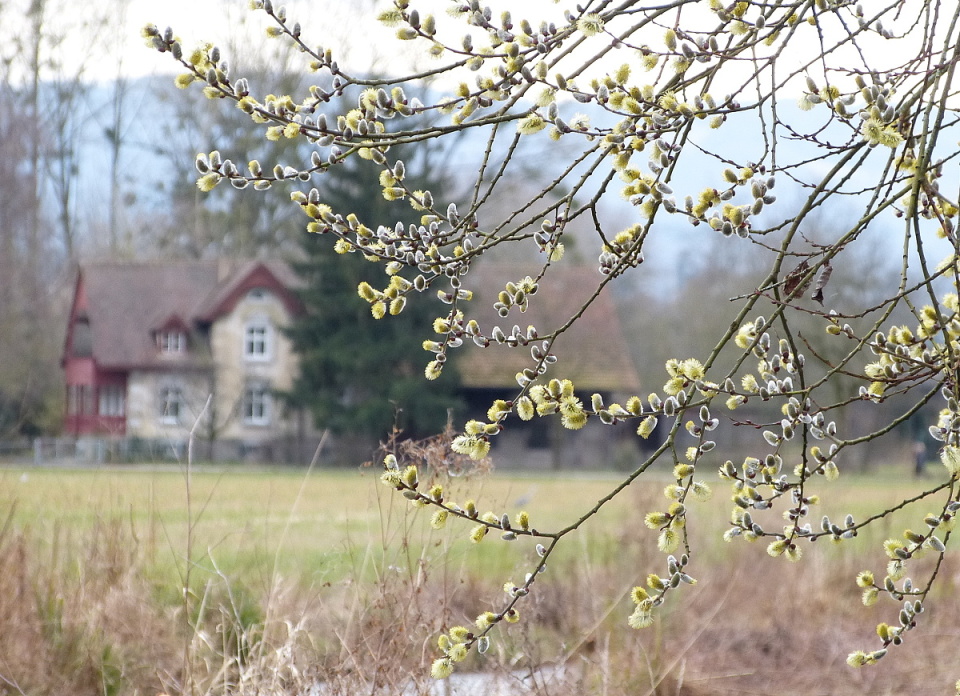  Our winter(!) holidays have ...