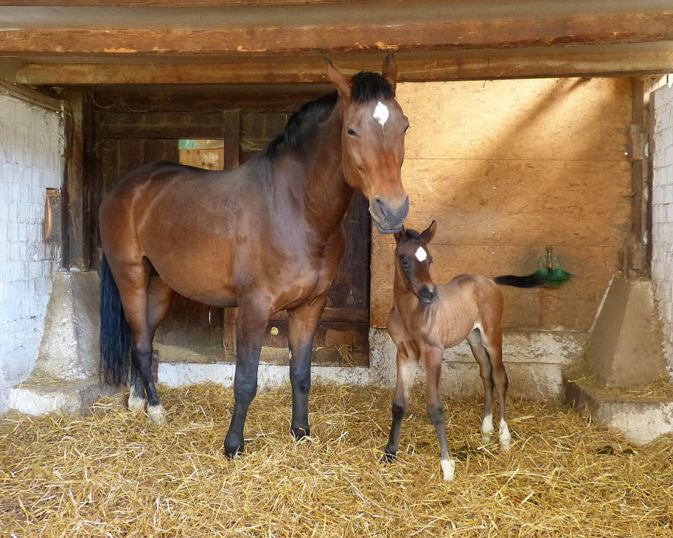 2 days old