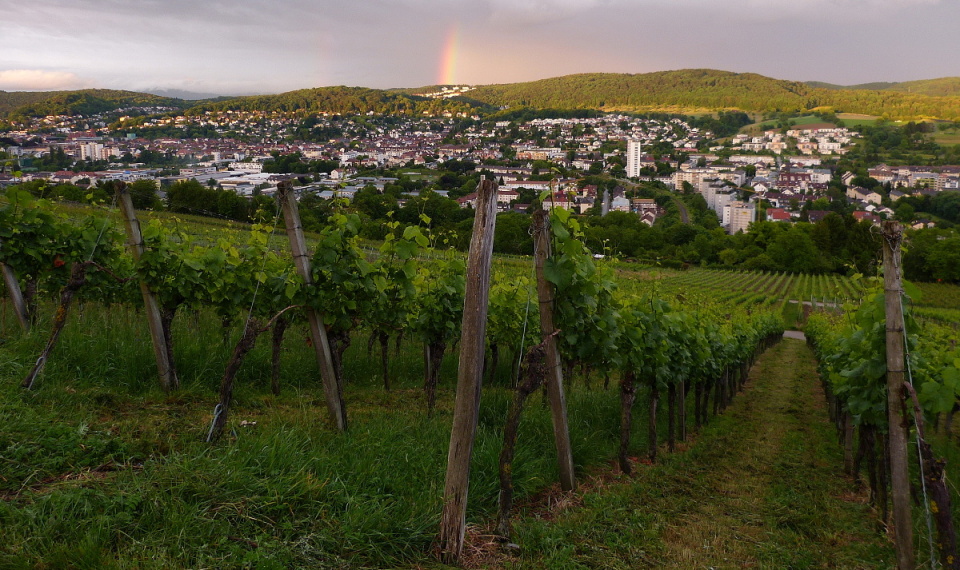  A tiny rainbow in ...