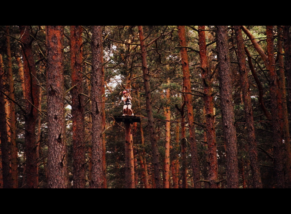 Fun in the trees