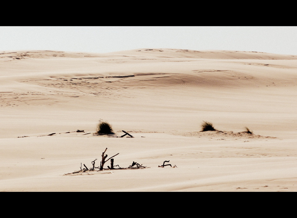 Sand dunes at Łeba