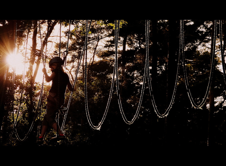  Adventure parks seem to ...
