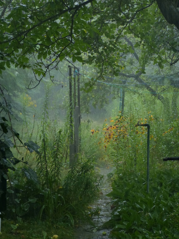 Summer storm