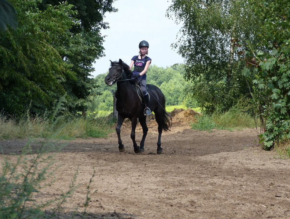 Back at the riding camp in Strzeszynek