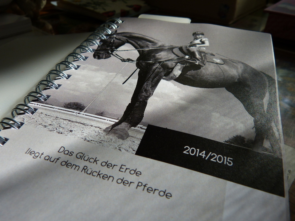 The new school diary 