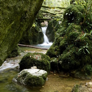 Kaltenbrunnen