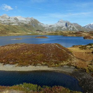 Tannensee