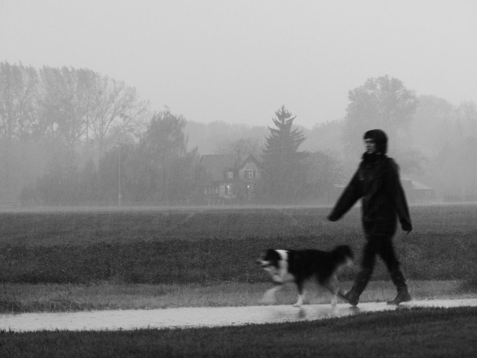 Caught in the rain