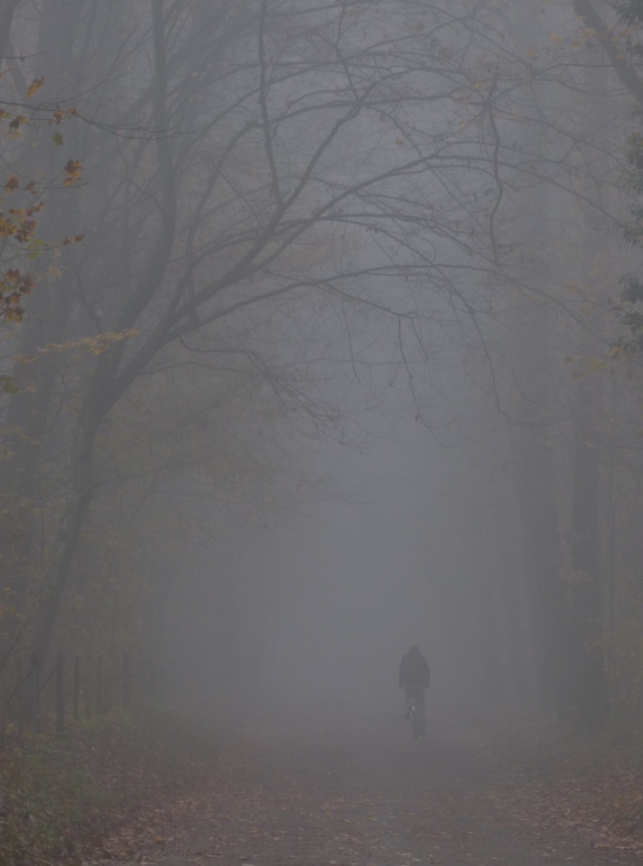 Misty morning