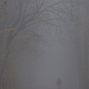 Misty morning