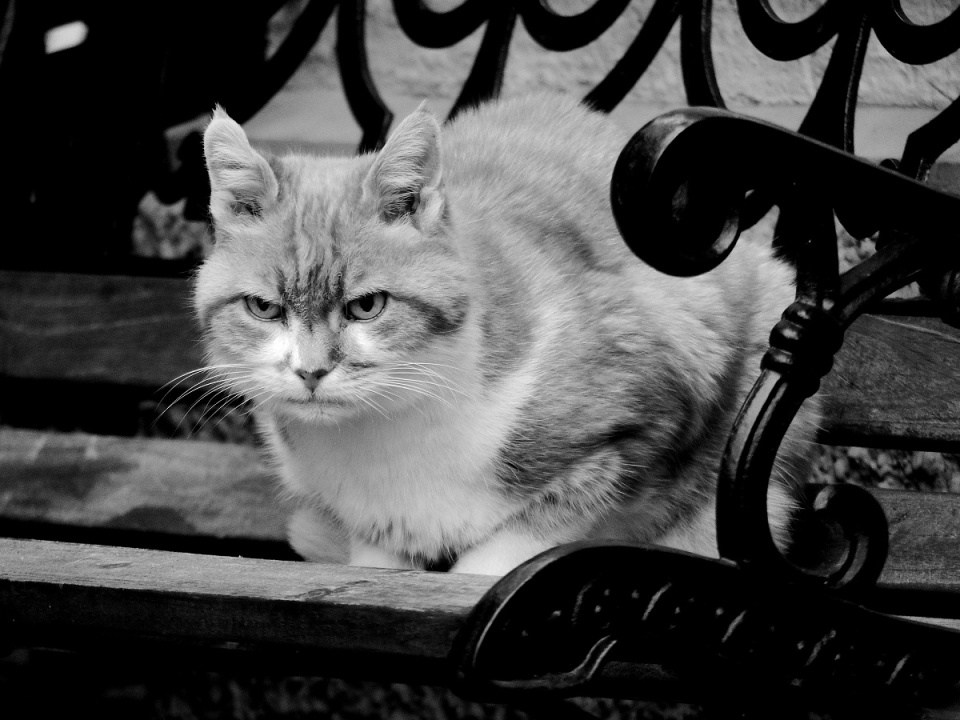  Its look says it ...
