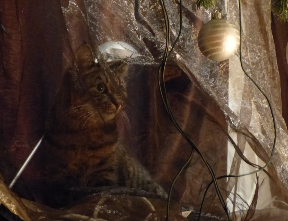 I can see you!