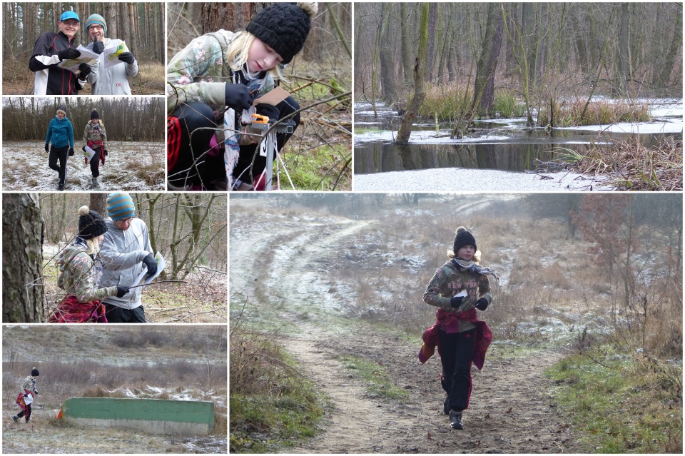 Orienteering