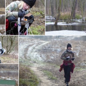Orienteering