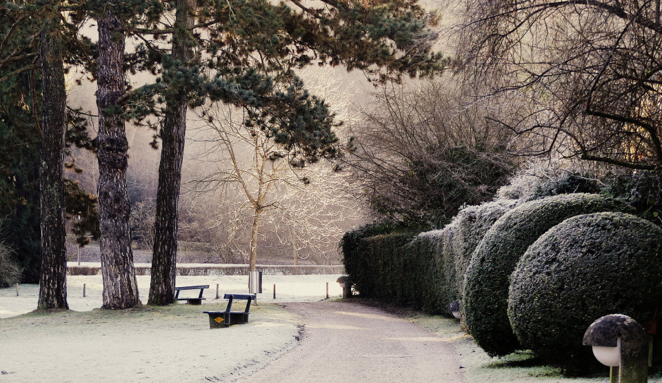 A frosty morning