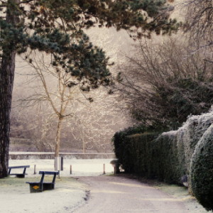 A frosty morning