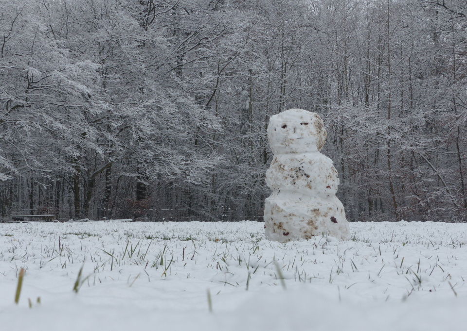 You don't need much snow to make a grand snowman.