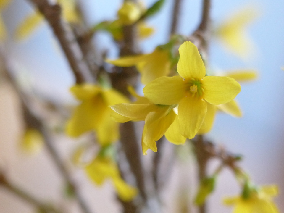  A bit of spring ...