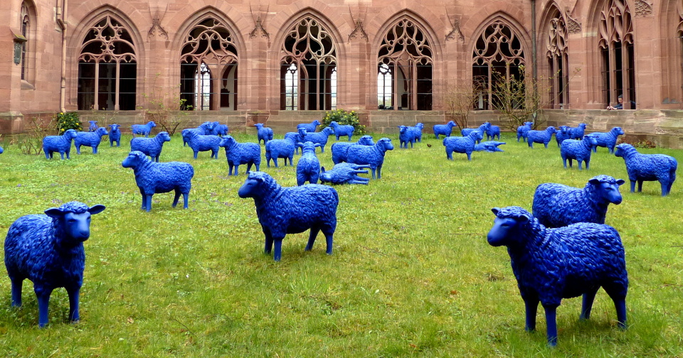 Blue peace flock
