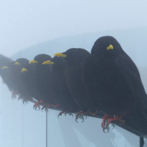 Mount Pilatus
