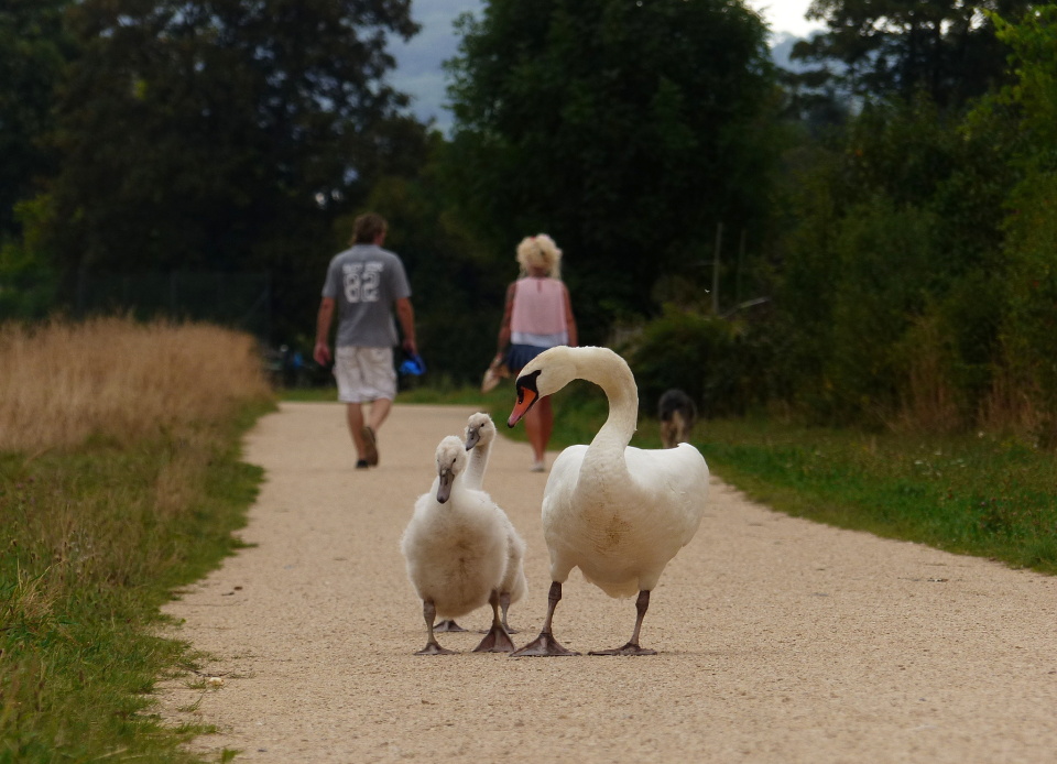Sunday walk