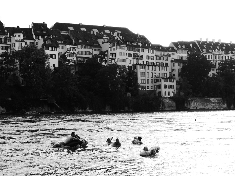 Rhein swimming