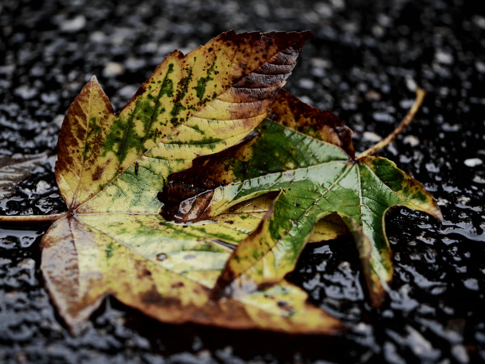 Wet and cold
