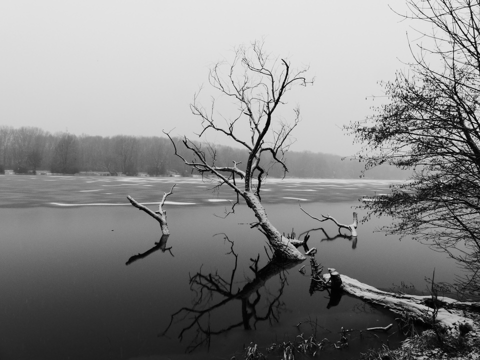 Rusałka lake